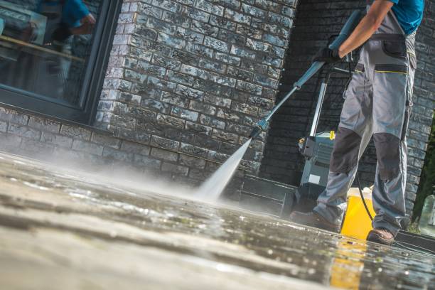 Best Pre-Holiday Cleaning  in Camp Point, IL