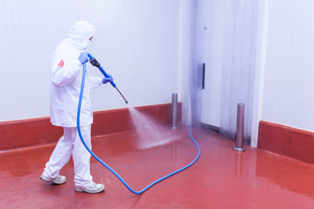 Best Winterizing Services  in Camp Point, IL