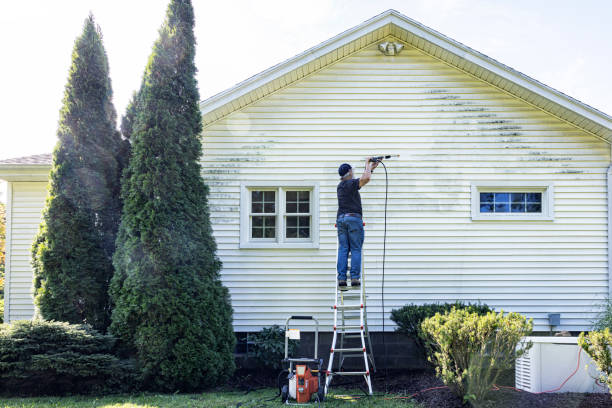 Best House Exterior Washing  in Camp Point, IL